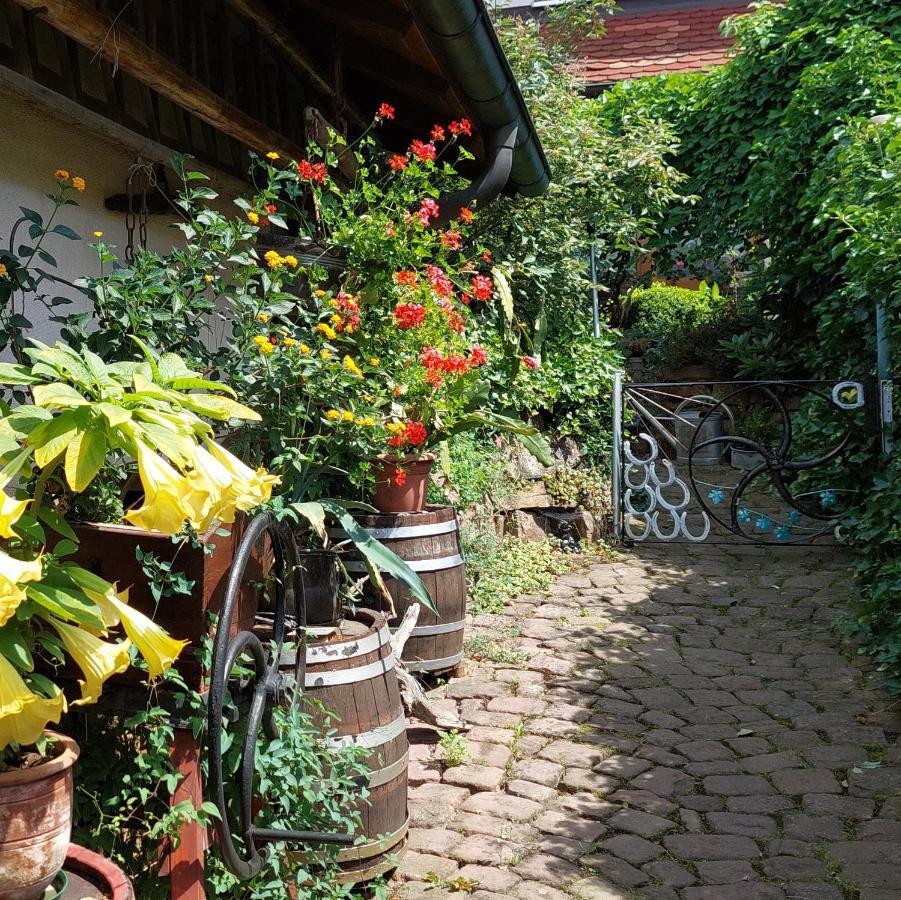 Beim Schlafwandler Apartment Карлсбад Екстериор снимка